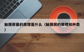 触摸屏幕的原理是什么（触摸屏的原理和种类）