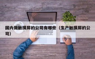 国内做触摸屏的公司有哪些（生产触摸屏的公司）