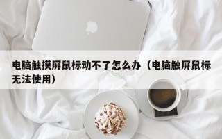 电脑触摸屏鼠标动不了怎么办（电脑触屏鼠标无法使用）