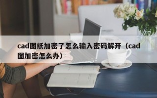 cad图纸加密了怎么输入密码解开（cad图加密怎么办）