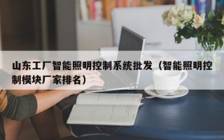 山东工厂智能照明控制系统批发（智能照明控制模块厂家排名）