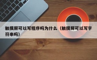 触摸屏可以写程序吗为什么（触摸屏可以写字符串吗）