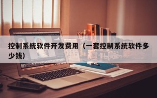 控制系统软件开发费用（一套控制系统软件多少钱）