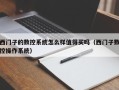 西门子的数控系统怎么样值得买吗（西门子数控操作系统）