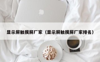 显示屏触摸屏厂家（显示屏触摸屏厂家排名）