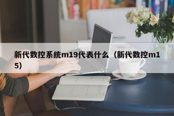 新代数控系统m19代表什么（新代数控m15）-第1张图片-晋江速捷自动化科技有限公司