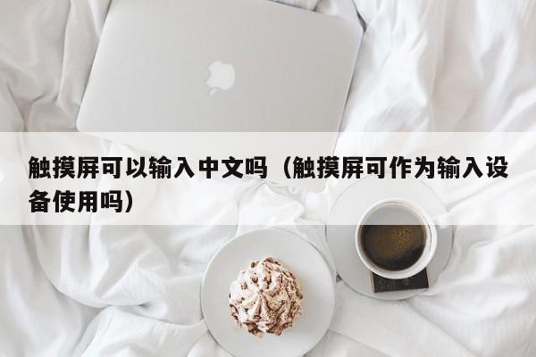 触摸屏可以输入中文吗（触摸屏可作为输入设备使用吗）-第1张图片-晋江速捷自动化科技有限公司