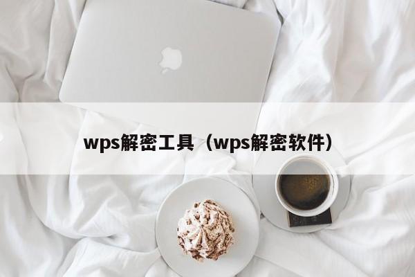 wps解密工具（wps解密软件）-第1张图片-晋江速捷自动化科技有限公司