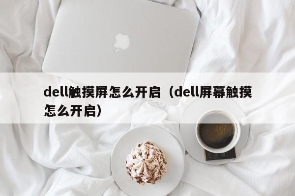 dell触摸屏怎么开启（dell屏幕触摸怎么开启）-第1张图片-晋江速捷自动化科技有限公司