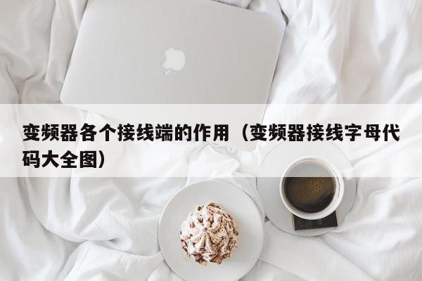 变频器各个接线端的作用（变频器接线字母代码大全图）-第1张图片-晋江速捷自动化科技有限公司