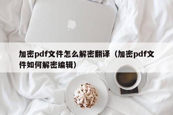 加密pdf文件怎么解密翻译（加密pdf文件如何解密编辑）-第1张图片-晋江速捷自动化科技有限公司