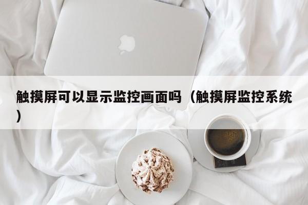 触摸屏可以显示监控画面吗（触摸屏监控系统）-第1张图片-晋江速捷自动化科技有限公司