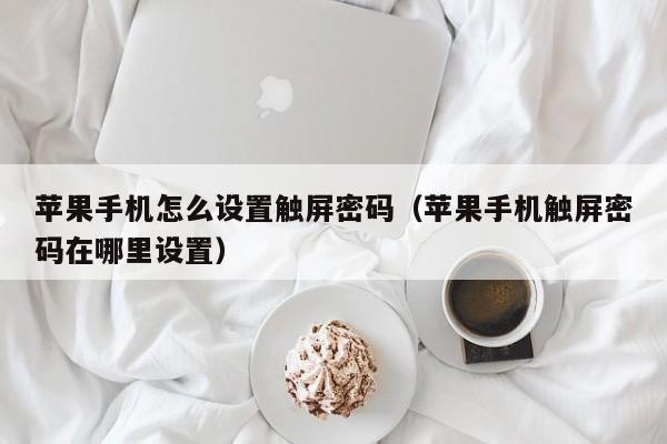 苹果手机怎么设置触屏密码（苹果手机触屏密码在哪里设置）-第1张图片-晋江速捷自动化科技有限公司