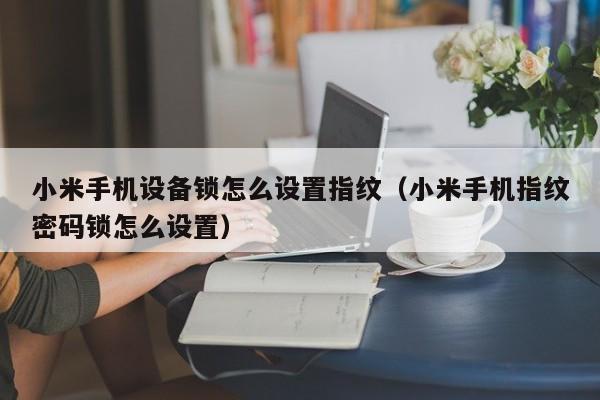 小米手机设备锁怎么设置指纹（小米手机指纹密码锁怎么设置）-第1张图片-晋江速捷自动化科技有限公司