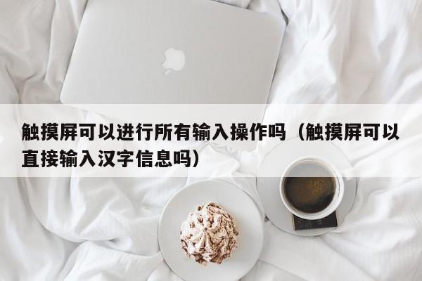 触摸屏可以进行所有输入操作吗（触摸屏可以直接输入汉字信息吗）-第1张图片-晋江速捷自动化科技有限公司