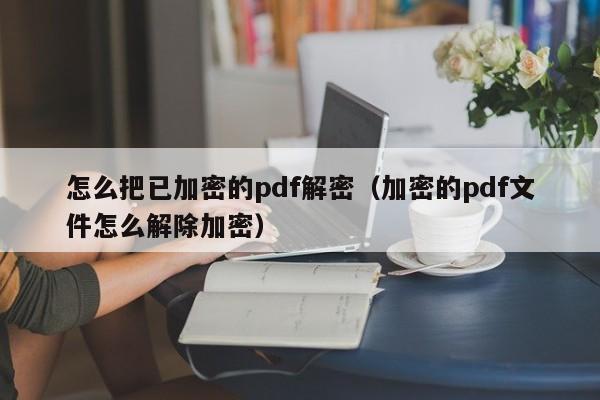 怎么把已加密的pdf解密（加密的pdf文件怎么解除加密）-第1张图片-晋江速捷自动化科技有限公司