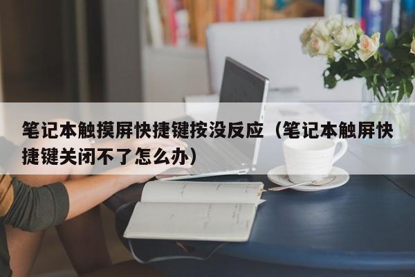 笔记本触摸屏快捷键按没反应（笔记本触屏快捷键关闭不了怎么办）-第1张图片-晋江速捷自动化科技有限公司