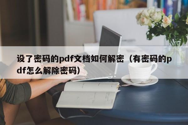 设了密码的pdf文档如何解密（有密码的pdf怎么解除密码）-第1张图片-晋江速捷自动化科技有限公司