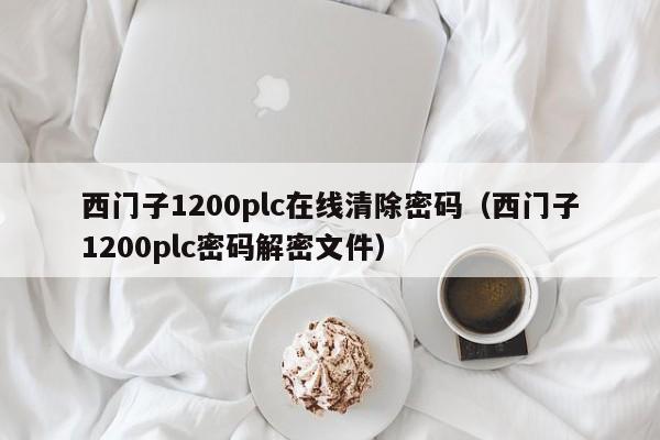 西门子1200plc在线清除密码（西门子1200plc密码解密文件）-第1张图片-晋江速捷自动化科技有限公司