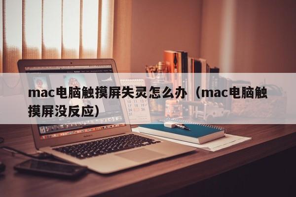 mac电脑触摸屏失灵怎么办（mac电脑触摸屏没反应）-第1张图片-晋江速捷自动化科技有限公司