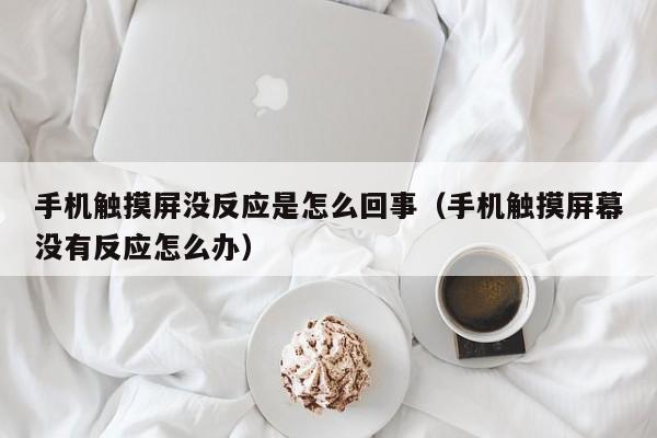 手机触摸屏没反应是怎么回事（手机触摸屏幕没有反应怎么办）-第1张图片-晋江速捷自动化科技有限公司