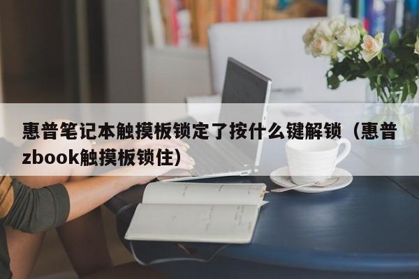 惠普笔记本触摸板锁定了按什么键解锁（惠普zbook触摸板锁住）-第1张图片-晋江速捷自动化科技有限公司