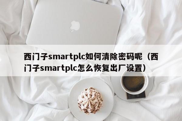 西门子smartplc如何清除密码呢（西门子smartplc怎么恢复出厂设置）-第1张图片-晋江速捷自动化科技有限公司