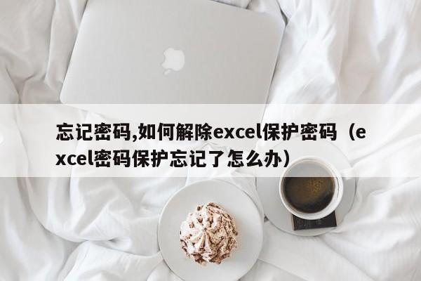 忘记密码,如何解除excel保护密码（excel密码保护忘记了怎么办）-第1张图片-晋江速捷自动化科技有限公司