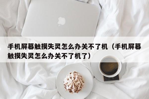 手机屏幕触摸失灵怎么办关不了机（手机屏幕触摸失灵怎么办关不了机了）-第1张图片-晋江速捷自动化科技有限公司