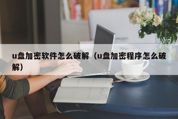 u盘加密软件怎么破解（u盘加密程序怎么破解）-第1张图片-晋江速捷自动化科技有限公司