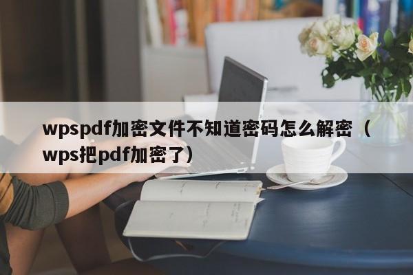 wpspdf加密文件不知道密码怎么解密（wps把pdf加密了）-第1张图片-晋江速捷自动化科技有限公司