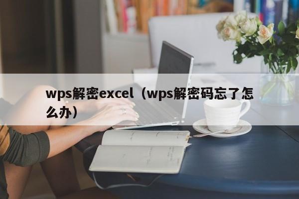 wps解密excel（wps解密码忘了怎么办）-第1张图片-晋江速捷自动化科技有限公司