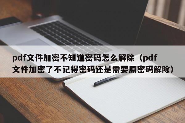 pdf文件加密不知道密码怎么解除（pdf文件加密了不记得密码还是需要原密码解除）-第1张图片-晋江速捷自动化科技有限公司