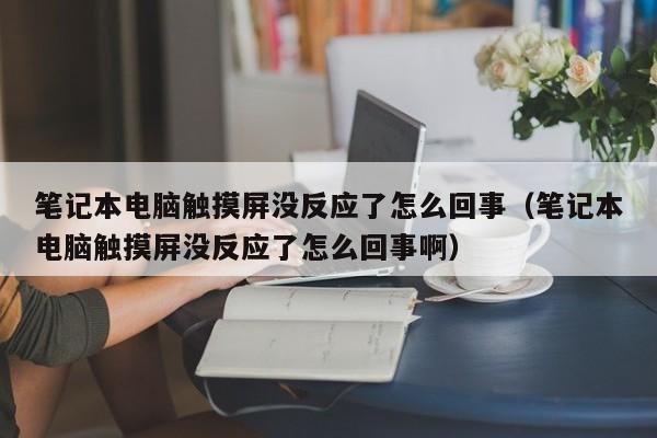 笔记本电脑触摸屏没反应了怎么回事（笔记本电脑触摸屏没反应了怎么回事啊）-第1张图片-晋江速捷自动化科技有限公司