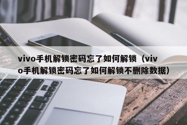 vivo手机解锁密码忘了如何解锁（vivo手机解锁密码忘了如何解锁不删除数据）-第1张图片-晋江速捷自动化科技有限公司