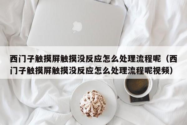 西门子触摸屏触摸没反应怎么处理流程呢（西门子触摸屏触摸没反应怎么处理流程呢视频）-第1张图片-晋江速捷自动化科技有限公司