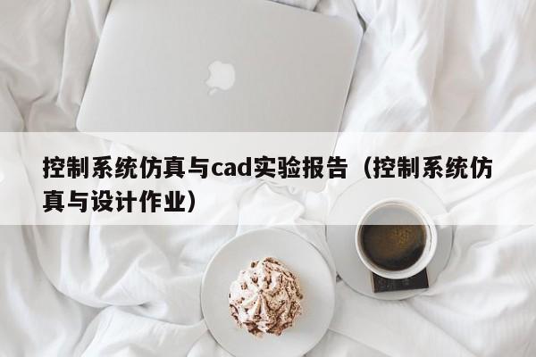 控制系统仿真与cad实验报告（控制系统仿真与设计作业）-第1张图片-晋江速捷自动化科技有限公司