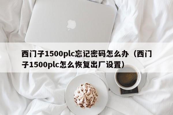 西门子1500plc忘记密码怎么办（西门子1500plc怎么恢复出厂设置）-第1张图片-晋江速捷自动化科技有限公司