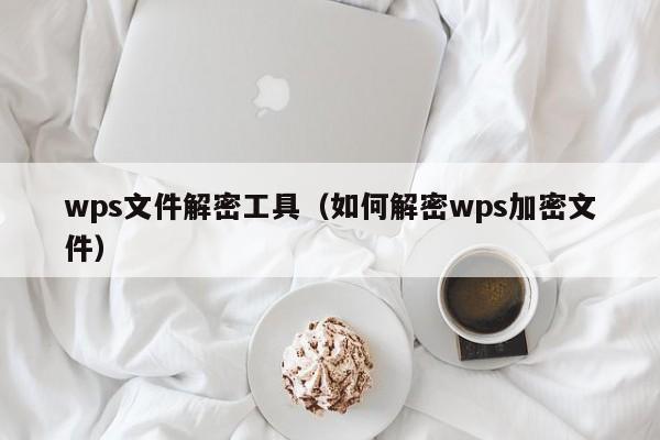 wps文件解密工具（如何解密wps加密文件）-第1张图片-晋江速捷自动化科技有限公司