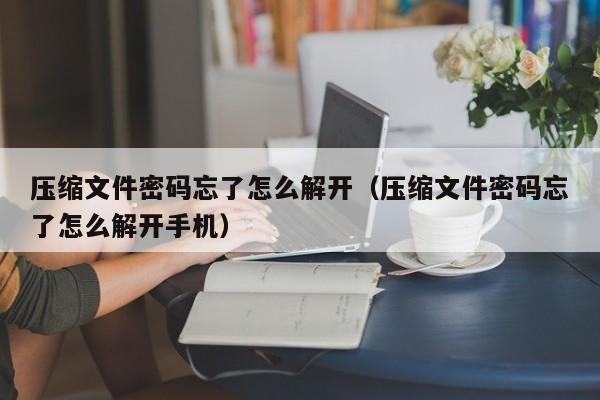 压缩文件密码忘了怎么解开（压缩文件密码忘了怎么解开手机）-第1张图片-晋江速捷自动化科技有限公司