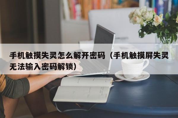 手机触摸失灵怎么解开密码（手机触摸屏失灵无法输入密码解锁）-第1张图片-晋江速捷自动化科技有限公司