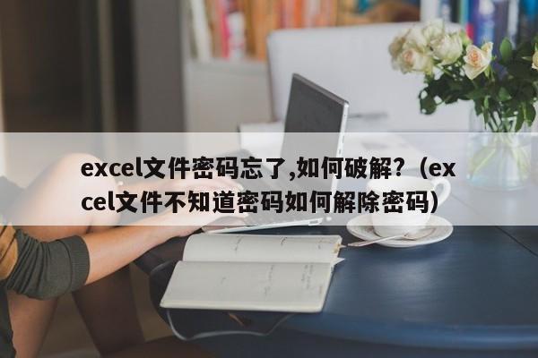 excel文件密码忘了,如何破解?（excel文件不知道密码如何解除密码）-第1张图片-晋江速捷自动化科技有限公司