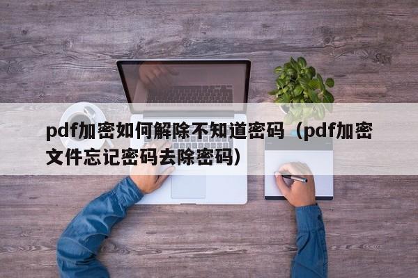 pdf加密如何解除不知道密码（pdf加密文件忘记密码去除密码）-第1张图片-晋江速捷自动化科技有限公司