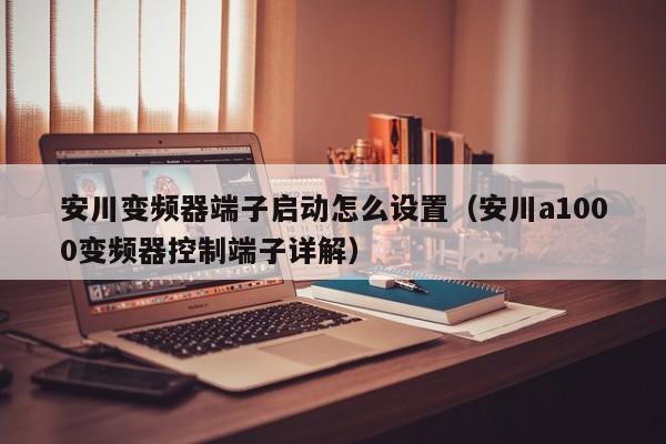 安川变频器端子启动怎么设置（安川a1000变频器控制端子详解）-第1张图片-晋江速捷自动化科技有限公司