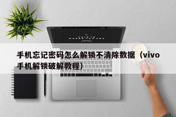 手机忘记密码怎么解锁不清除数据（vivo手机解锁破解教程）-第1张图片-晋江速捷自动化科技有限公司