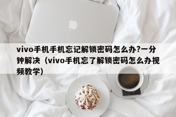 vivo手机手机忘记解锁密码怎么办?一分钟解决（vivo手机忘了解锁密码怎么办视频教学）-第1张图片-晋江速捷自动化科技有限公司