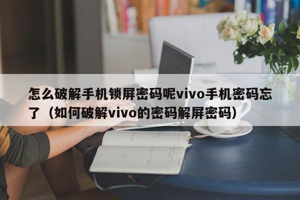 怎么破解手机锁屏密码呢vivo手机密码忘了（如何破解vivo的密码解屏密码）-第1张图片-晋江速捷自动化科技有限公司