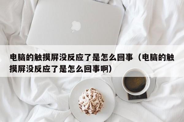 电脑的触摸屏没反应了是怎么回事（电脑的触摸屏没反应了是怎么回事啊）-第1张图片-晋江速捷自动化科技有限公司