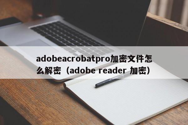 adobeacrobatpro加密文件怎么解密（adobe reader 加密）-第1张图片-晋江速捷自动化科技有限公司