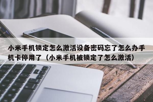 小米手机锁定怎么激活设备密码忘了怎么办手机卡停用了（小米手机被锁定了怎么激活）-第1张图片-晋江速捷自动化科技有限公司